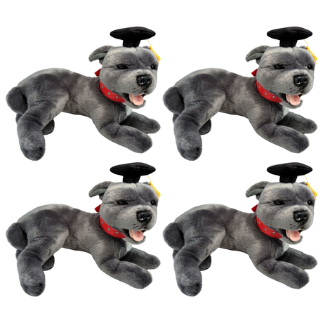 4x Bocchetta Flint 35cm Lying Graduation Staffy Plush Toy Bulk Pack - Grey (Stuffed Animal Dog Grad Gift)
