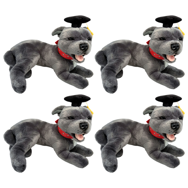 4x Bocchetta Flint 35cm Lying Graduation Staffy Plush Toy Bulk Pack - Grey (Stuffed Animal Dog Grad Gift)