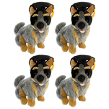 4x Bocchetta Bluey 22cm Graduation Blue Heeler Cattle Dog Plush Toy Bulk Pack (Stuffed Animal Grad Gift)