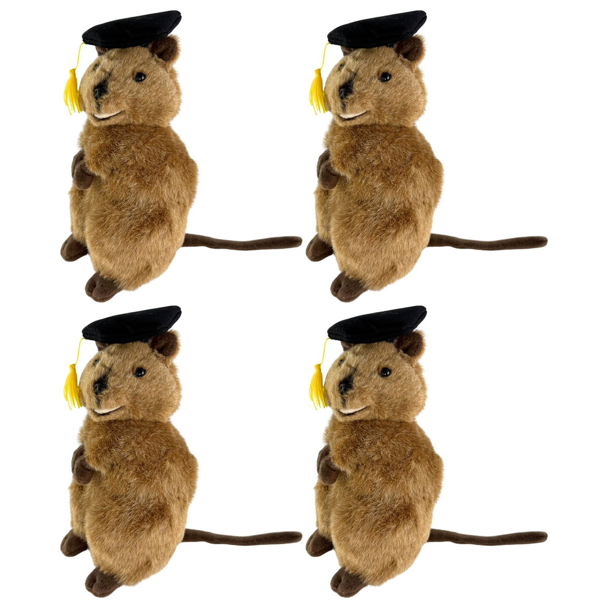 4x Bocchetta Sheldon 21cm Graduation Quokka Plush Toy Bulk Pack (Stuffed Animal Grad Gift)