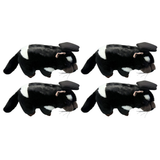 4x Bocchetta Diego 24cm Graduation Tasmanian Devil Plush Toy Bulk Pack (Stuffed Animal Grad Gift)