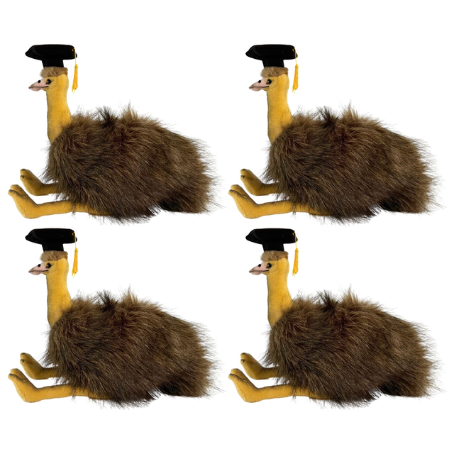 4x Bocchetta Penny 24cm Graduation Emu Plush Toy Bulk Pack (Stuffed Animal Grad Gift)
