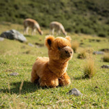 Bocchetta Alcapone 25cm Lying Alpaca Plush Toy - Brown (Realistic Stuffed Animal Farm Gift)