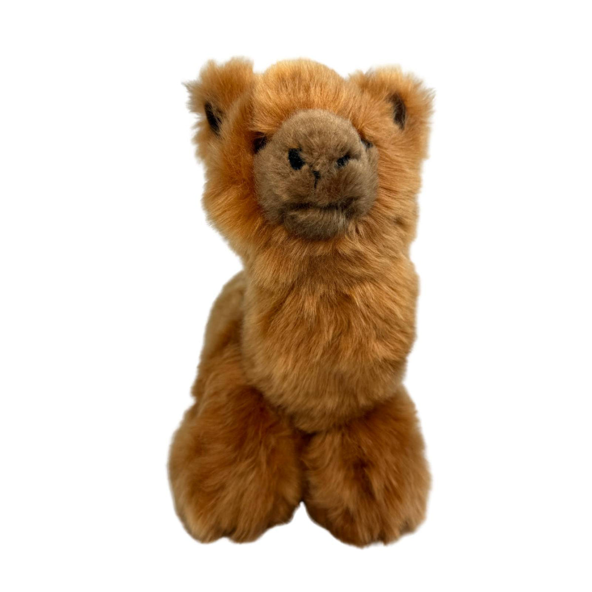 Bocchetta Alcapone 25cm Lying Alpaca Plush Toy - Brown (Realistic Stuffed Animal Farm Gift)