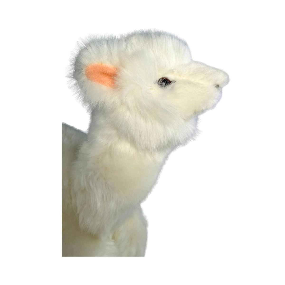 Bocchetta Alfredo 25cm Lying Alpaca Plush Toy - White (Realistic Stuffed Animal Farm Gift)