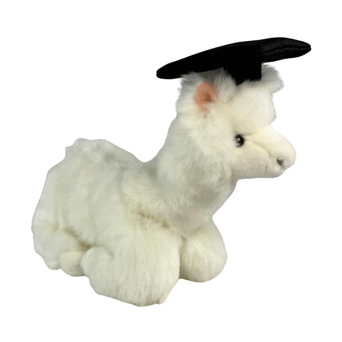 Bocchetta Alfredo 25cm Graduation Alpaca Plush Toy - White (Stuffed Animal Grad Gift)