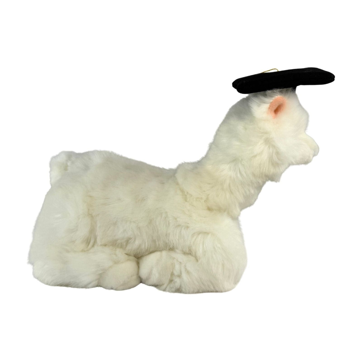 Bocchetta Alfredo 25cm Graduation Alpaca Plush Toy - White (Stuffed Animal Grad Gift)