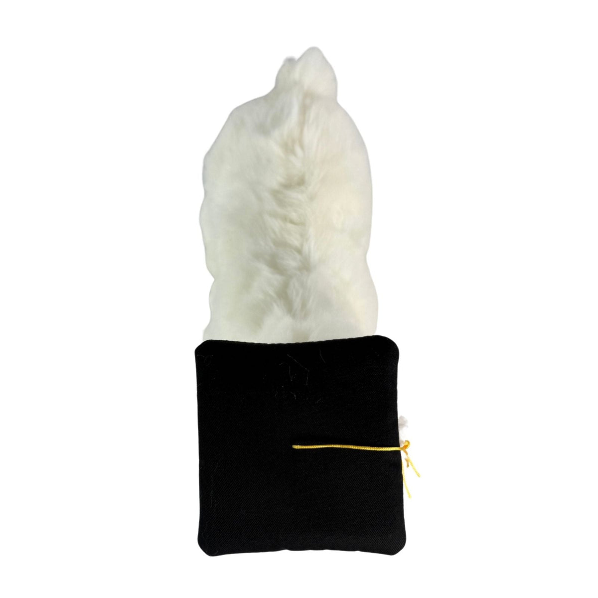 Bocchetta Alfredo 25cm Graduation Alpaca Plush Toy - White (Stuffed Animal Grad Gift)