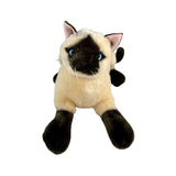 Bocchetta Amelia 35cm Crouching Siamese Cat Plush Toy (Realistic Stuffed Animal Cat Gift)
