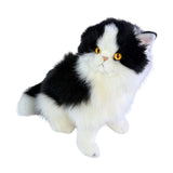Bocchetta Angus 34cm Sitting Piebald Cat Plush Toy - Black/White (Realistic Stuffed Animal Cat Gift)
