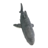Bocchetta Arctic 48cm Great White Shark Plush Toy (Realistic Stuffed Animal Sea Life Gift)