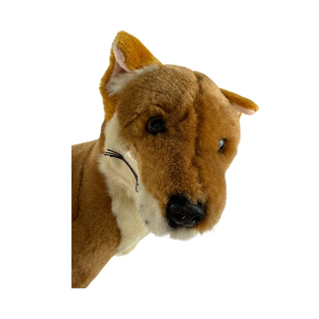 Bocchetta Arnie 18cm Sitting Dingo Plush Toy - Tan (Australian Stuffed Animal Souvenir Gift)
