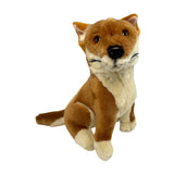 Bocchetta Arnie 18cm Sitting Dingo Plush Toy - Tan (Australian Stuffed Animal Souvenir Gift)