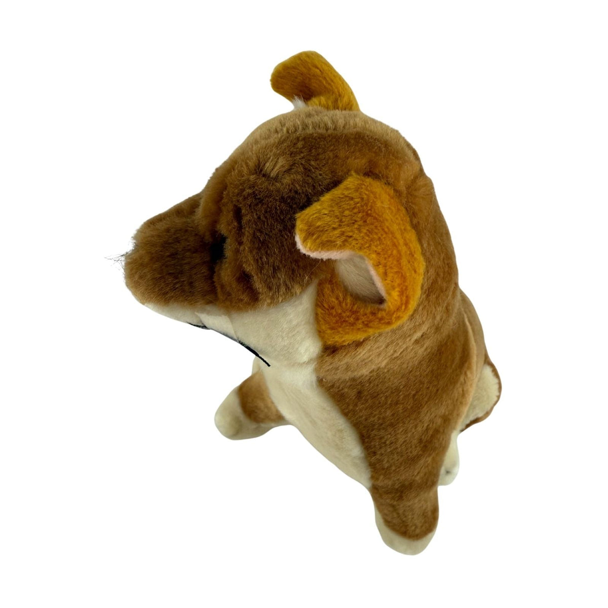 Bocchetta Arnie 18cm Sitting Dingo Plush Toy - Tan (Australian Stuffed Animal Souvenir Gift)