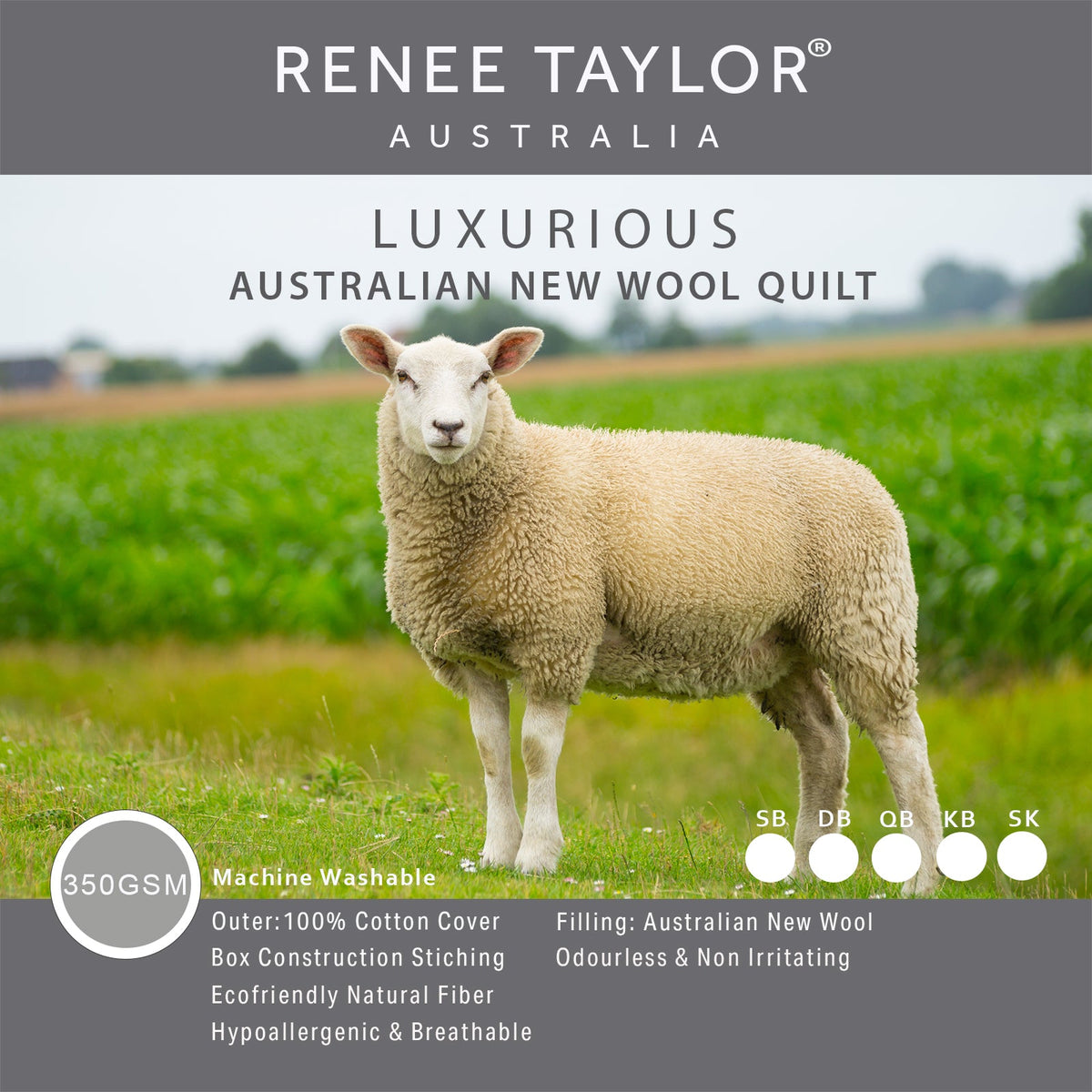 Renee Taylor Luxurious Australian Wool Quilt (350 GSM)