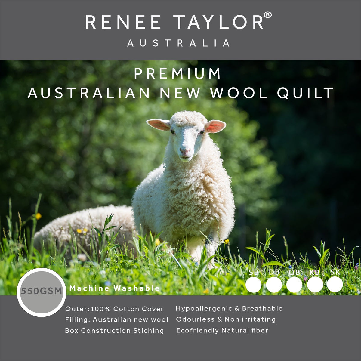 Renee Taylor Premium Australian Wool Quilt (550 GSM)