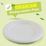 600pcs Disposable Sugarcane Bagasse Round Plates - 23cm - Bulk (12 packs of 50)