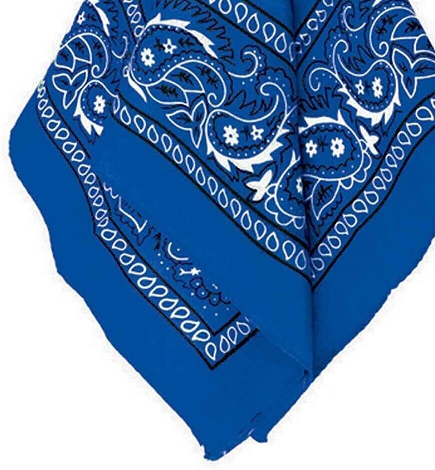Blue Paisley Bandana - 100% Cotton Head Wrap/Durag/Scarf/Mask