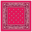 Hot Pink Paisley Bandana - 100% Cotton Head Wrap/Durag/Scarf/Mask