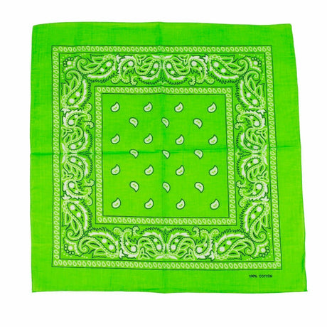 Light Green Paisley Bandana - 100% Cotton Head Wrap/Durag/Scarf/Mask