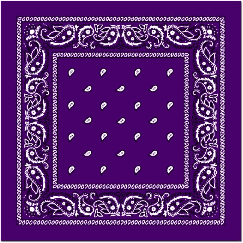 BANDANA Paisley 100% COTTON Head Wrap Durag Bandanna Summer Biker Scarf Mask - Sky Blue (Plain)