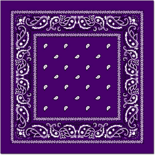 BANDANA Paisley 100% COTTON Head Wrap Durag Bandanna Summer Biker Scarf Mask - Purple