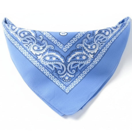 Sky Blue Paisley Bandana - 100% Cotton Head Wrap/Durag/Scarf/Mask