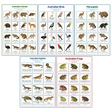 5-Pack Australian Animals Educational Posters Set - A4 Matte Laminated Prints (210x297mm)