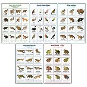 5-Pack Australian Animals Educational Posters Set - A4 Matte Laminated Prints (210x297mm)