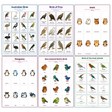 6-Pack Birds Educational Posters Set - A4 Matte Laminated Prints (210x297mm)