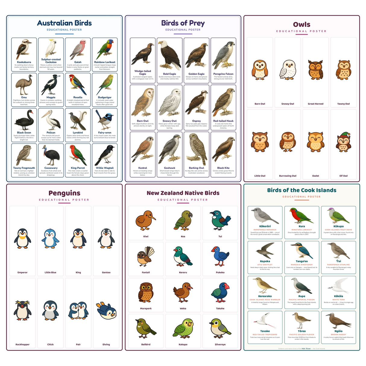 6-Pack Birds Educational Posters Set - A4 Matte Laminated Prints (210x297mm)