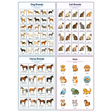 4-Pack Pet & Animal Breeds Educational Posters Set - A4 Matte Laminated Prints (210x297mm)
