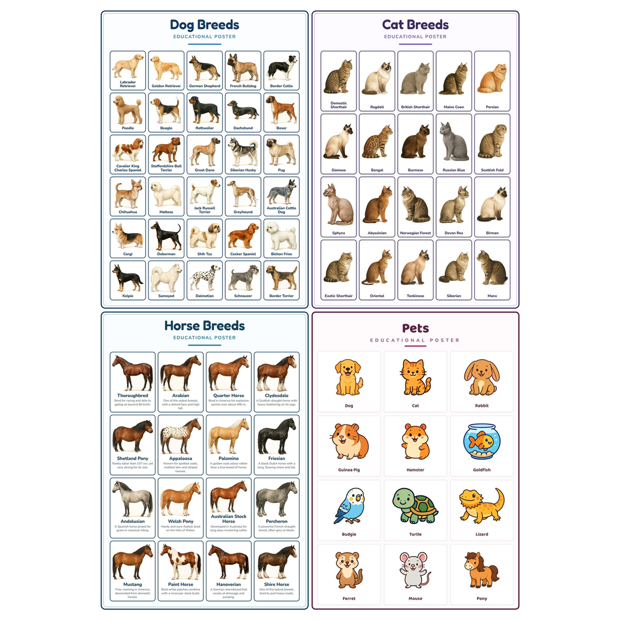 4-Pack Pet & Animal Breeds Educational Posters Set - A4 Matte Laminated Prints (210x297mm)