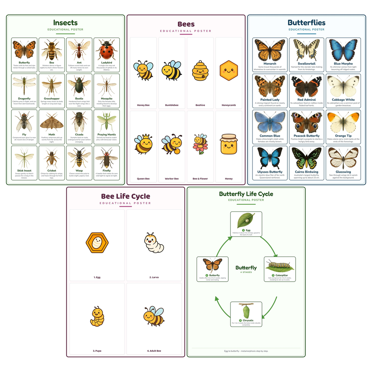 5-Pack Bugs & Butterflies Educational Posters Set - A4 Matte Laminated Prints (210x297mm)