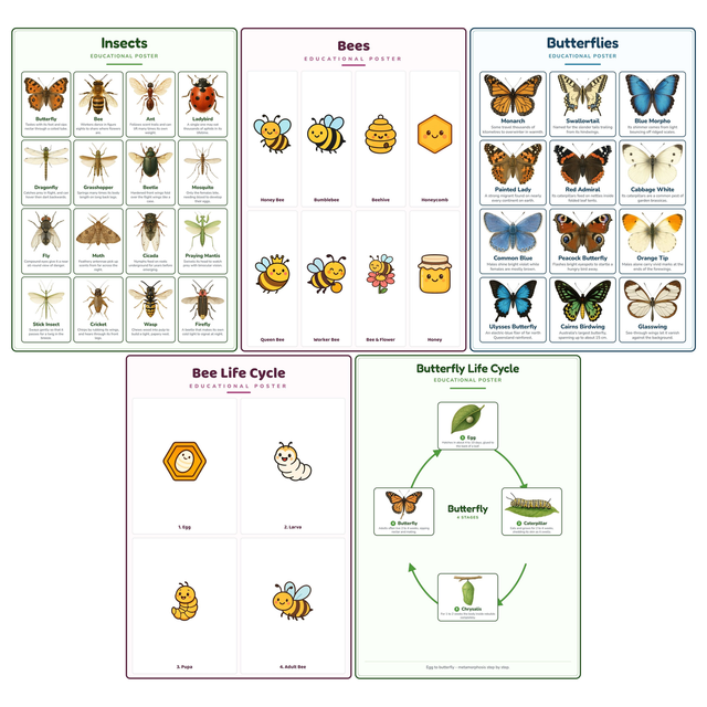 5-Pack Bugs & Butterflies Educational Posters Set - A4 Matte Laminated Prints (210x297mm)