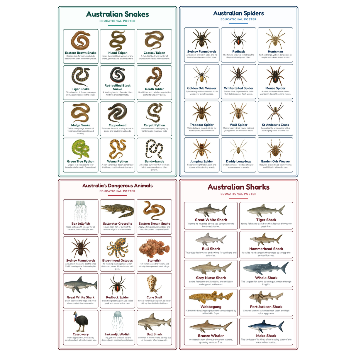 4-Pack Australia's Deadliest Educational Posters Set - A4 Matte Laminated Prints (210x297mm)