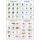 4-Pack Australia's Deadliest Educational Posters Set - A4 Matte Laminated Prints (210x297mm)