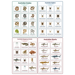 4-Pack Australia's Deadliest Educational Posters Set - A4 Matte Laminated Prints (210x297mm)