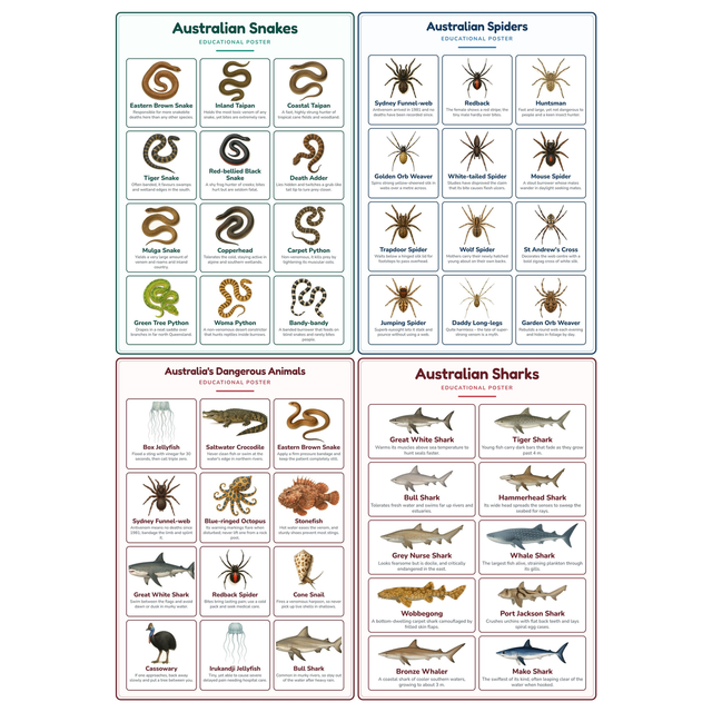 4-Pack Australia's Deadliest Educational Posters Set - A4 Matte Laminated Prints (210x297mm)