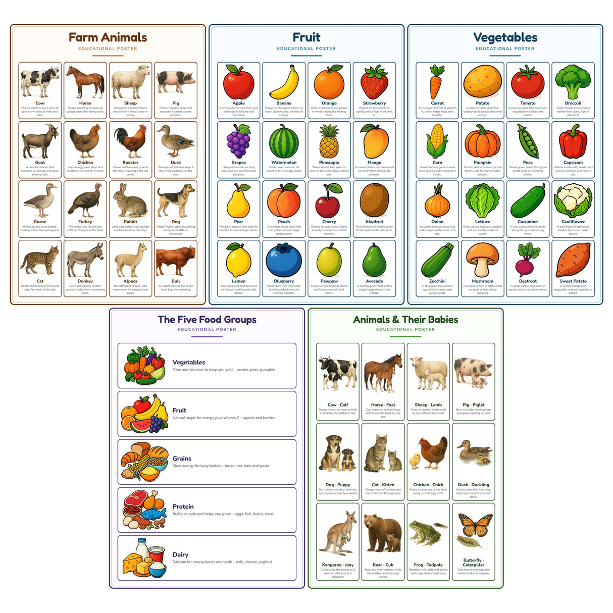 5-Pack Farm & Food Educational Posters Set - A4 Matte Laminated Prints (210x297mm)