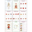 9-Pack The Human Body Educational Posters Set - A4 Matte Laminated Prints (210x297mm)