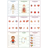 9-Pack The Human Body Educational Posters Set - A4 Matte Laminated Prints (210x297mm)