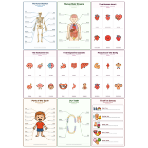 9-Pack The Human Body Educational Posters Set - A4 Matte Laminated Prints (210x297mm)