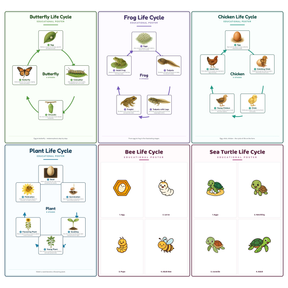 6-Pack Life Cycles Educational Posters Set - A4 Matte Laminated Prints (210x297mm)