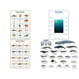 4-Pack Ocean Animals Educational Posters Set - A4 Matte Laminated Prints (210x297mm)