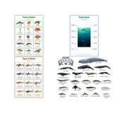 4-Pack Ocean Animals Educational Posters Set - A4 Matte Laminated Prints (210x297mm)