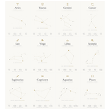 12-Pack Zodiac Constellations Educational Posters Set - White A4 Matte Laminated Prints (210x297mm)