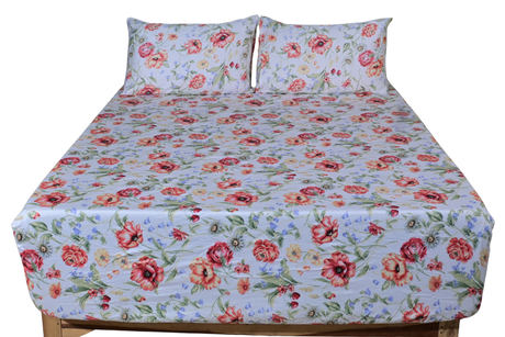 Floral Reverie Pure Cotton Fitted Bed Sheet + Pillowcase Set - Pink/Green