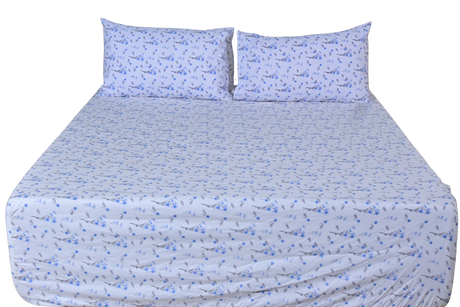 Azure Sprig Pure Cotton Fitted Bed Sheet + Pillowcase Set - Blue/White