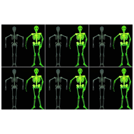 6x 90cm Glow in the Dark White Plastic Hanging Skeleton Bulk Pack - Halloween Decoration
